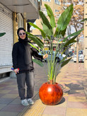 درختچه مصنوعی پرنده بهشتی 20 برگ لمسی (تنه استاندارد با پوسته طبیعی) - دو سایز